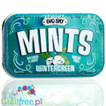 Big Sky Mints Wintergreen - miętowe pudrowe pastylki bez cukru by Big Sky (big-sky-mints-wintergreen-mietowe-pudrowe-pastylki-bez-cukru)