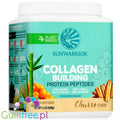 Sunwarrior Collagen Building Peptides, Churro - wegańska odżywka białkowa stymulująca wytwarzanie kolagenu by Sunwarrior (sunwarrior-collagen-building-peptides-churro-weganska-odzywka-bialkowa-stymulujaca-wytwarzanie-kolagenu)