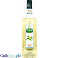 Teisseire Vanilla Syrup 0% 1L- wegański syrop bez cukru do kawy o smaku waniliowym by Teisseire (teisseire-vanilla-syrup-0-1l-weganski-syrop-bez-cukru-do-kawy-o-smaku-waniliowym)