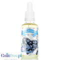 Funky Flavors Sweet Simply Blueberries - jagodowe kropelki słodzące bez cukru i bez kalorii by Funky Flavors (funky-flavors-sweet-simply-blueberries-skoncentrowany-jaagodowy-aromat-slodzacy-bez-kalorii)