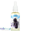 Funky Flavors Sweet Simply Blackberries - jeżynowe kropelki słodzące bez cukru i kalorii by Funky Flavors (funky-flavors-sweet-simply-blackberries-slodzony-skoncentrowany-aromat-jezynowy)
