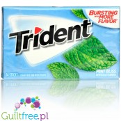 Trident Mint Bliss sugar free chewing gum with xylitol