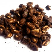 Mocny Orzech - peanuts dusted in cocoa, sweetened with erythritol