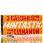 Mintastic Cinnamon sugar free chewing gum with xylitol