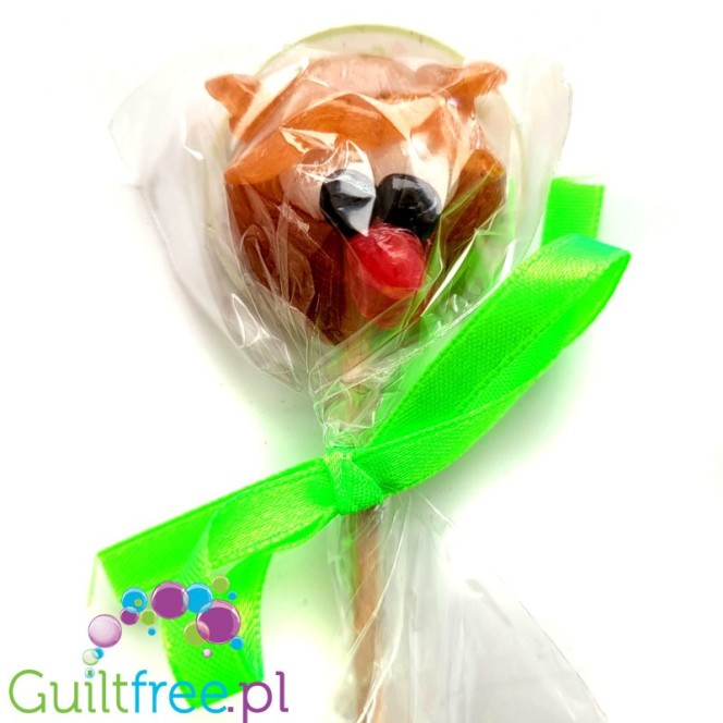 Santini Owl sugar free lollipop with xylitol