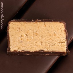 FIZI Protein Hazelnut  & Choco - wegański baton proteinowy w polewie czekoladowej bez dodatku cukru