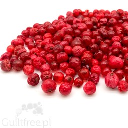 Greenok Czerwona porzeczka 20g - liofilizowana cała porzeczka bez dodatku cukru 100% owoców
