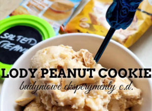 Lody Peanut Cookie – Ninja Creami