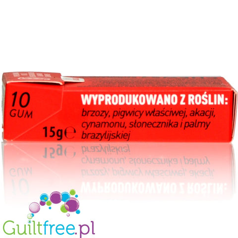 Chewsy Cinnamon sugar free chewing gum with xylitol