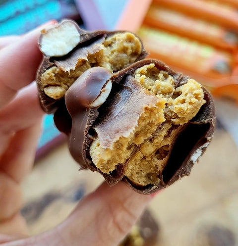 Misfits Plant Milk Chocolate & S'mores - vegan protein bar
