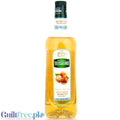Teisseire Hazelnut Syrup 0% 1L - vegan sugar-free coffee syrup with hazelnut flavor