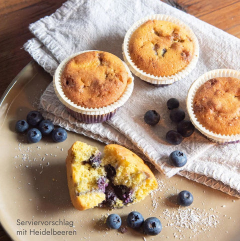 Steiner's Low(er) Carb Rührkuchen - mix do wypieku ciasta ucieranego bez cukru, glutenu i laktozy