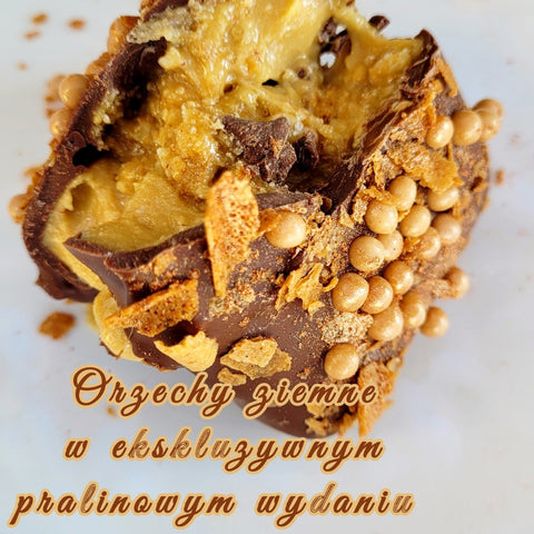 KoxBar Peanut Cookie PREORDER - artisanal protein bar Cookie and Peanut
