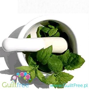 Stevia Green leaf