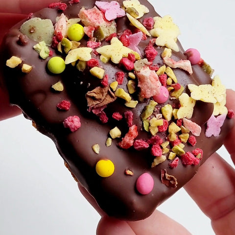 KoxBar May Samba PRESALE April 15th - artisan protein bar VEGAN GF