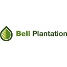 PB2 (Bell Plantation)